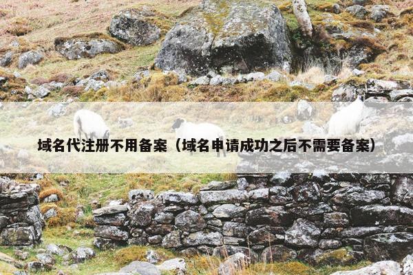 域名代注册不用备案（域名申请成功之后不需要备案）-第1张图片-冷动云