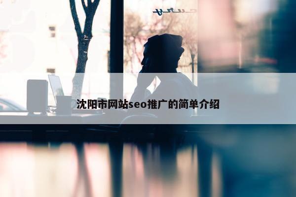 沈阳市网站seo推广的简单介绍-第1张图片-冷动云