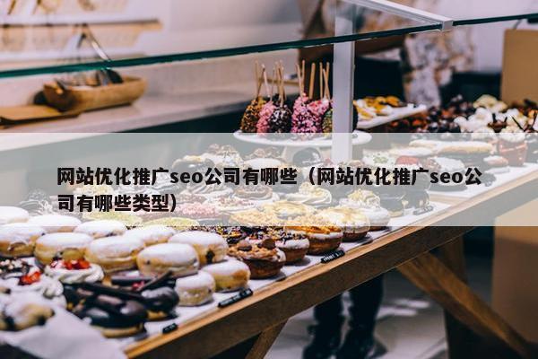 网站优化推广seo公司有哪些（网站优化推广seo公司有哪些类型）-第1张图片-冷动云