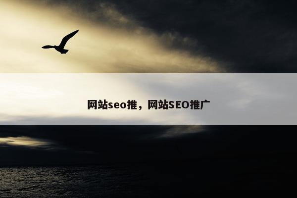 网站seo推，网站SEO推广-第1张图片-冷动云