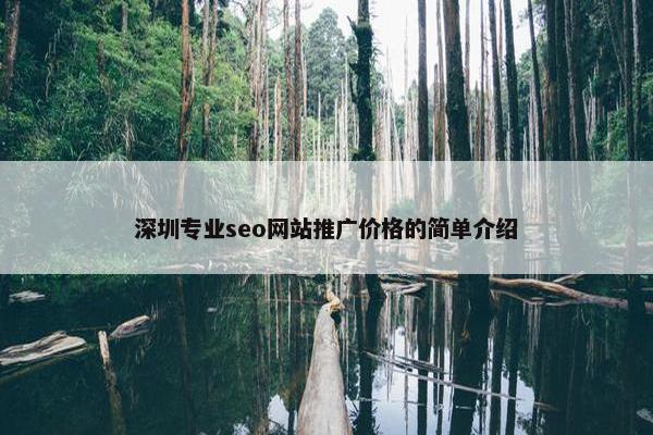 深圳专业seo网站推广价格的简单介绍-第1张图片-冷动云
