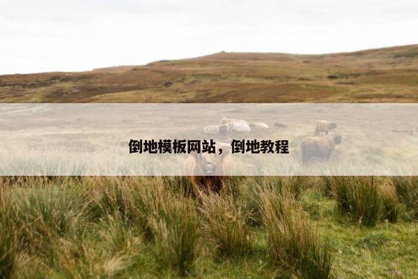 倒地模板网站，倒地教程-第1张图片-冷动云
