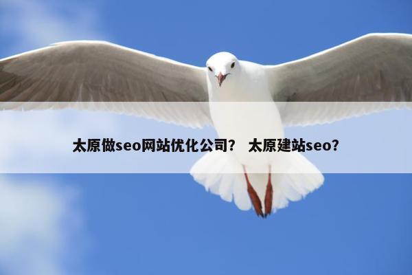 太原做seo网站优化公司？ 太原建站seo？-第1张图片-冷动云
