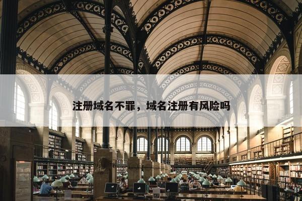 注册域名不罪，域名注册有风险吗-第1张图片-冷动云