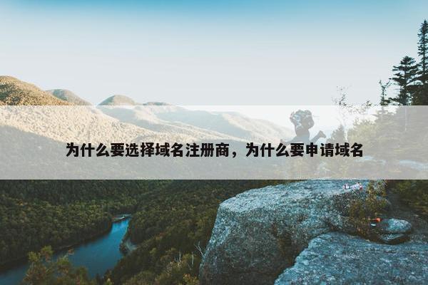 为什么要选择域名注册商，为什么要申请域名-第1张图片-冷动云