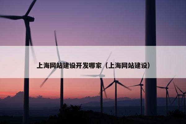 上海网站建设开发哪家（上海网站建设）-第1张图片-冷动云