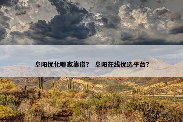 阜阳优化哪家靠谱？ 阜阳在线优选平台？-第1张图片-冷动云