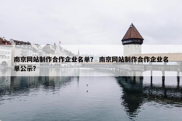 南京网站制作合作企业名单？ 南京网站制作合作企业名单公示？-第1张图片-冷动云