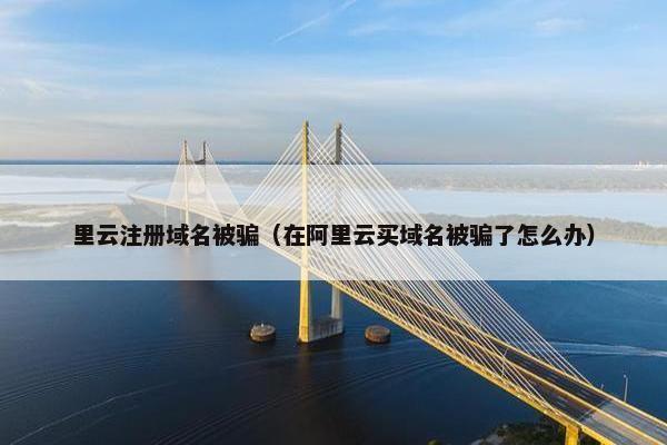 里云注册域名被骗（在阿里云买域名被骗了怎么办）-第1张图片-冷动云