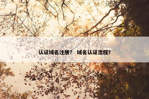 认证域名注册？ 域名认证流程？-第1张图片-冷动云