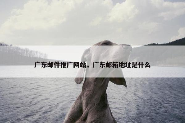 广东邮件推广网站，广东邮箱地址是什么-第1张图片-冷动云