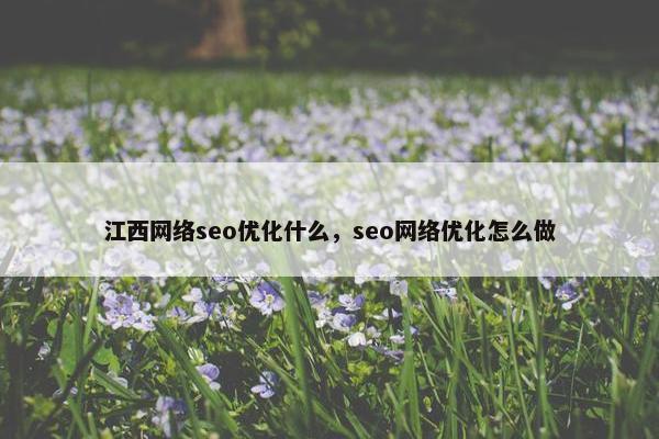 江西网络seo优化什么，seo网络优化怎么做-第1张图片-冷动云