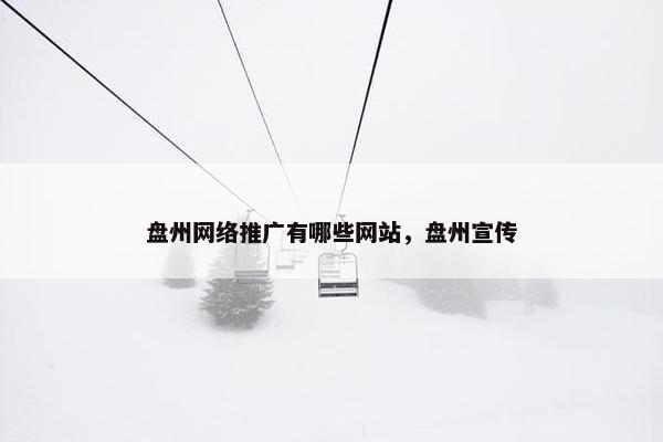 盘州网络推广有哪些网站，盘州宣传-第1张图片-冷动云