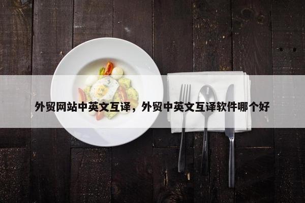 外贸网站中英文互译，外贸中英文互译软件哪个好-第1张图片-冷动云