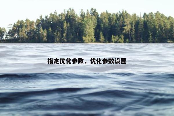 指定优化参数，优化参数设置-第1张图片-冷动云