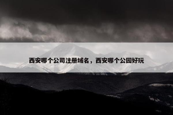 西安哪个公司注册域名，西安哪个公园好玩-第1张图片-冷动云