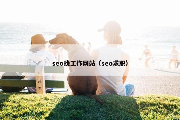 seo找工作网站（seo求职）-第1张图片-冷动云