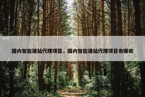 国内智能建站代理项目，国内智能建站代理项目有哪些-第1张图片-冷动云