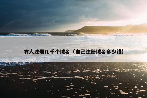 有人注册几千个域名（自己注册域名多少钱）-第1张图片-冷动云