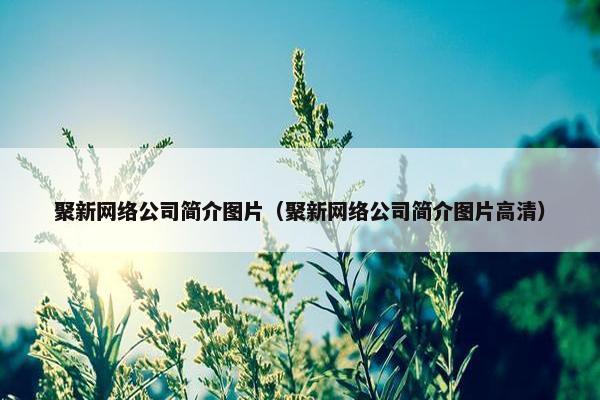 聚新网络公司简介图片（聚新网络公司简介图片高清）-第1张图片-冷动云