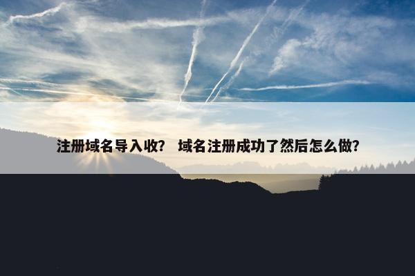 注册域名导入收？ 域名注册成功了然后怎么做？-第1张图片-冷动云