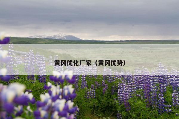 黄冈优化厂家（黄冈优势）-第1张图片-冷动云
