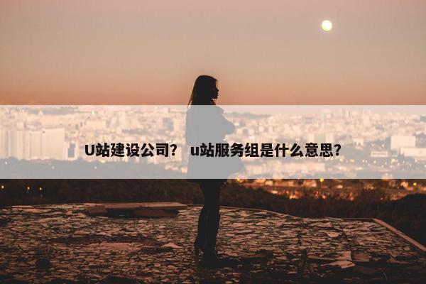 U站建设公司？ u站服务组是什么意思？-第1张图片-冷动云