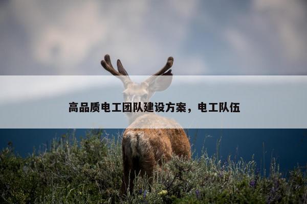 高品质电工团队建设方案，电工队伍-第1张图片-冷动云