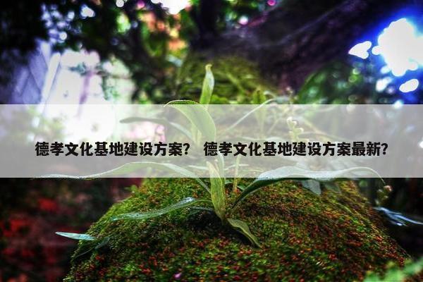 德孝文化基地建设方案？ 德孝文化基地建设方案最新？-第1张图片-冷动云