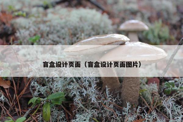 盲盒设计页面（盲盒设计页面图片）-第1张图片-冷动云