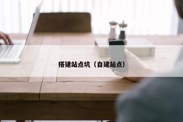 搭建站点坑（自建站点）-第1张图片-冷动云