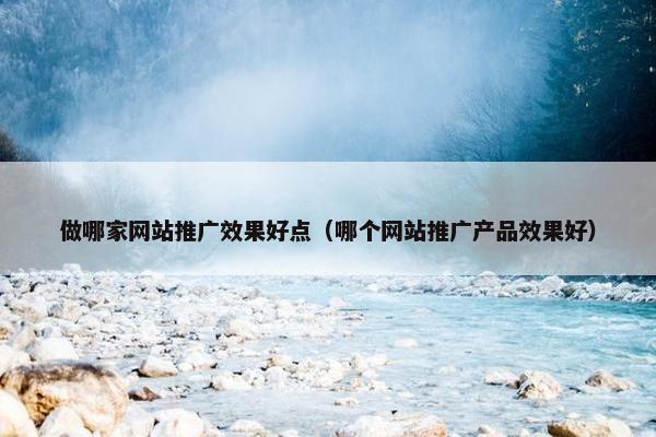 做哪家网站推广效果好点（哪个网站推广产品效果好）-第1张图片-冷动云