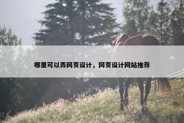 哪里可以弄网页设计，网页设计网站推荐-第1张图片-冷动云