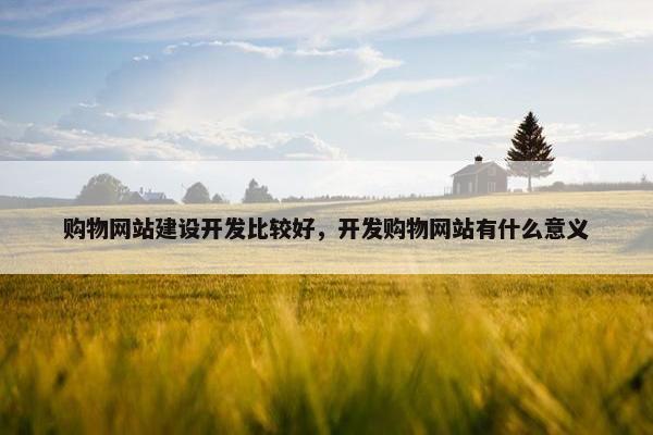 购物网站建设开发比较好，开发购物网站有什么意义-第1张图片-冷动云