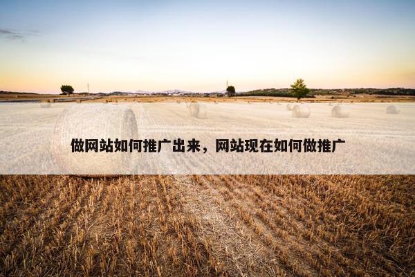 做网站如何推广出来，网站现在如何做推广-第1张图片-冷动云