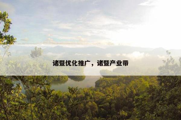 诸暨优化推广，诸暨产业带-第1张图片-冷动云