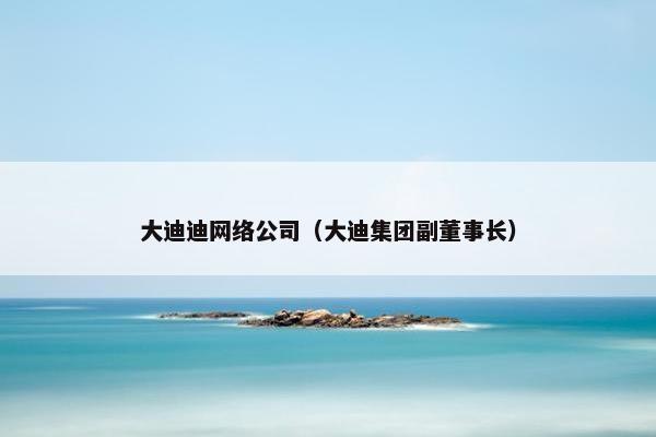 大迪迪网络公司（大迪集团副董事长）-第1张图片-冷动云