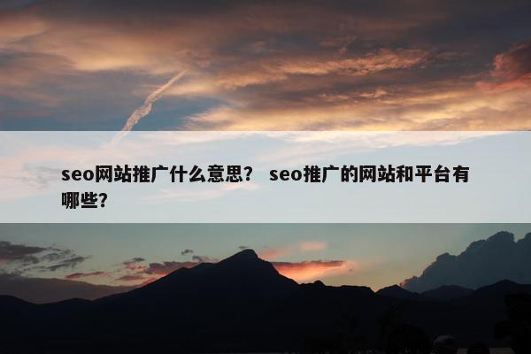 seo网站推广什么意思？ seo推广的网站和平台有哪些？-第1张图片-冷动云