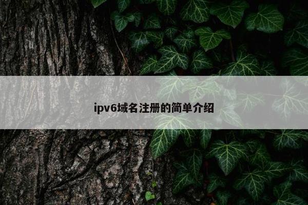 ipv6域名注册的简单介绍-第1张图片-冷动云