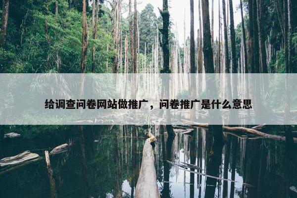 给调查问卷网站做推广，问卷推广是什么意思-第1张图片-冷动云