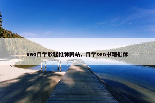 seo自学教程推荐网站，自学seo书籍推荐-第1张图片-冷动云