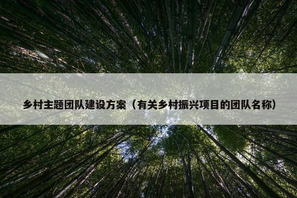 乡村主题团队建设方案（有关乡村振兴项目的团队名称）-第1张图片-冷动云