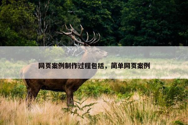 网页案例制作过程包括，简单网页案例-第1张图片-冷动云