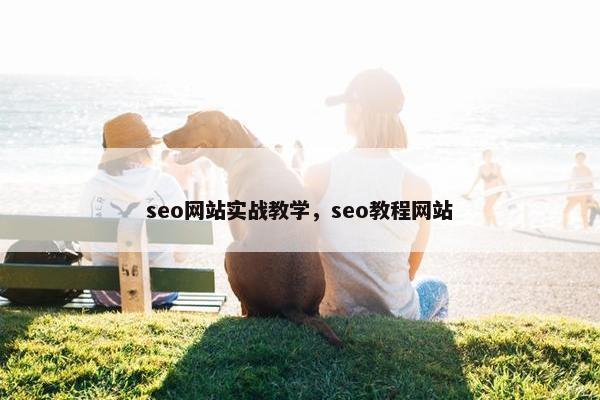 seo网站实战教学，seo教程网站-第1张图片-冷动云