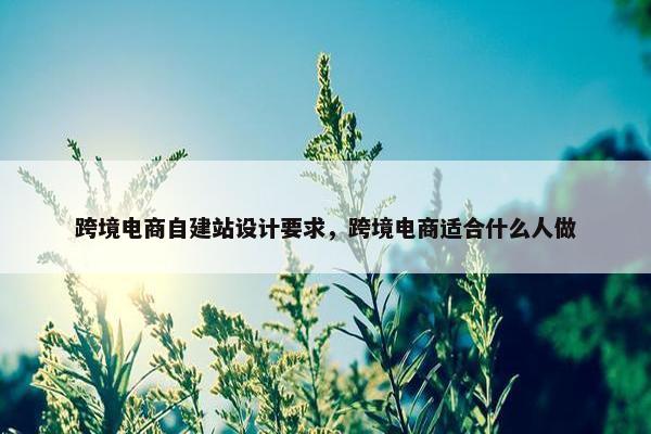 跨境电商自建站设计要求，跨境电商适合什么人做-第1张图片-冷动云