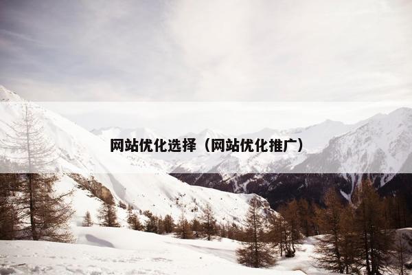 网站优化选择（网站优化推广）-第1张图片-冷动云