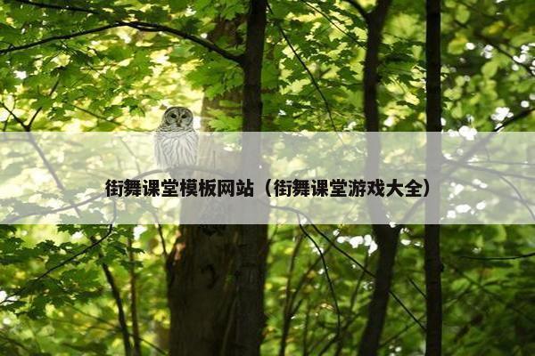 街舞课堂模板网站（街舞课堂游戏大全）-第1张图片-冷动云