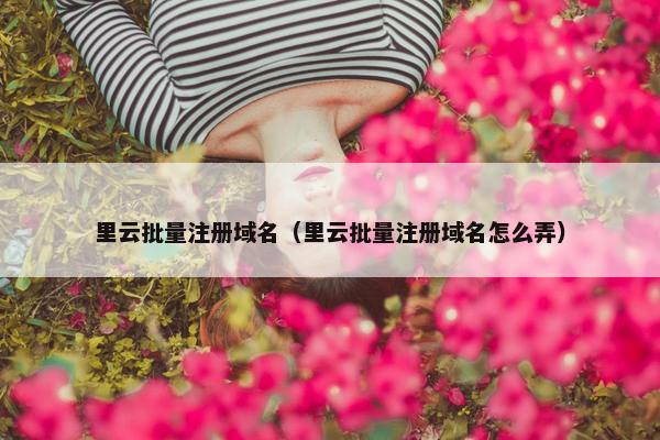里云批量注册域名（里云批量注册域名怎么弄）-第1张图片-冷动云