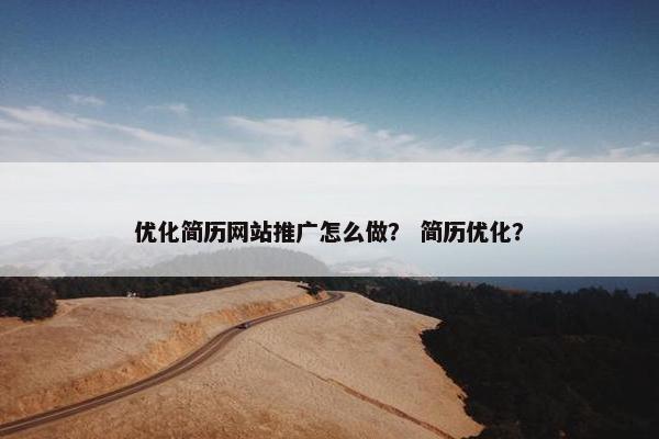 优化简历网站推广怎么做？ 简历优化？-第1张图片-冷动云