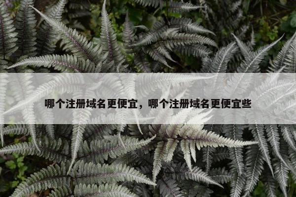 哪个注册域名更便宜，哪个注册域名更便宜些-第1张图片-冷动云
